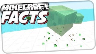 UNSICHTBARE SLIMES  Minecraft Facts 24 [upl. by Wayolle]