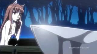 WEREWOLVES HOWLING AMV [upl. by Azilem294]