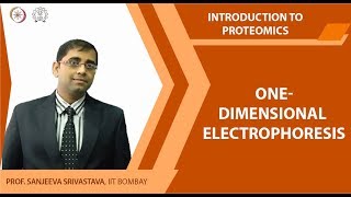 One dimensional electrophoresis [upl. by Anidan]