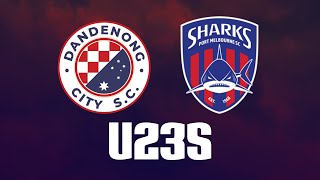 Dandenong City v Port Melbourne Sharks U23 [upl. by Dhruv]