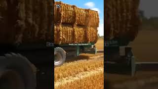 trending farming harvesting viral shorts youtubeshorts agriculture EarthAndSkyDiaries [upl. by Tine]