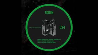 Robiin  Pays  Levi Petite remix  PHENOMENAL [upl. by Enomed]