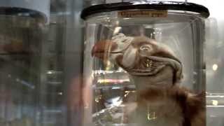 Hunterian Museum Bicentenary  with subtitles [upl. by Julieta32]