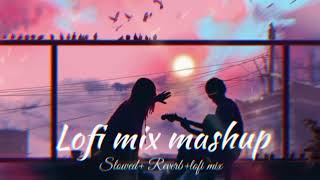 Lofi mix mashup 💗✨ love lofi sad lofi son  mix mashup song 🎵🎶 dance lofimusic song [upl. by Hunfredo430]