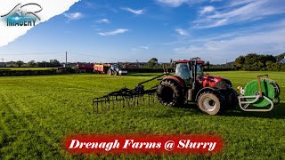 Drenagh Farms Umbilical Slurry [upl. by Ro26]