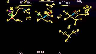 Acid and basecatalyzed hydrolysis of amides  Organic chemistry  Khan Academy [upl. by Arekahs313]