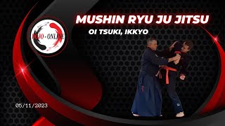 Mushin ryu Ju jitsu  Oi tsuki Ikkyo [upl. by Furey352]