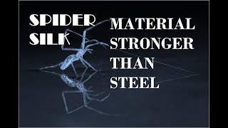 Spider Silk  Spider Silk Harvesting  Spider Silk Uses [upl. by Euqininod]