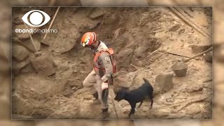 Chuvas em Petrópolis Corpo de Bombeiros retomam buscas [upl. by Dedie702]