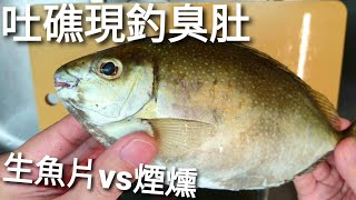 感謝網友送的手釣臭肚，拿來做生魚片、煙燻、魚湯三吃。臭肚的美味完全顛覆我的想像。Siganus argenteus Sashimi [upl. by Yliak925]