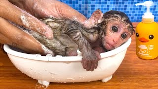 Baby monkey Bon Bon bath in the bathtub and playing with the puppy So cute [upl. by Asil]