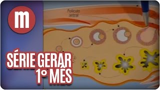 Série Gerar 1 O primeiro mês de gravidez  Mulheres [upl. by Dena183]