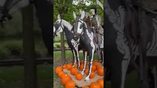 HALLOWEEN 2024 im Europa Park🎃👻halloween europapark shorts [upl. by Plerre]