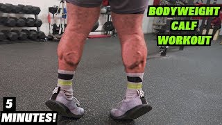 Intense 5 Minute At Home Calf Workout 2 [upl. by Vyse]