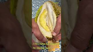 I Tried Durian And Discovered The Shocking Truth Durian Delicious shorts [upl. by Irtimed]