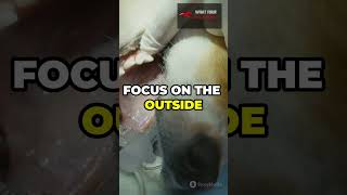 How to Brush Your Dog’s Teeth Easy Tips 🐾🐕  What Your Dog Needs 🦴🐩 [upl. by Ardnossac]