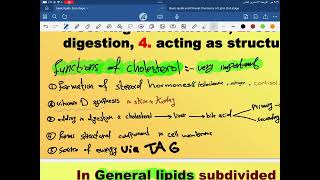 Biochemistry Lipid Metabolism second year part 2 [upl. by Neetsuj237]