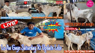 Deonar bakra mandi latest update today 10082024  Saturday Vlog  “live bakra mandi update“ [upl. by Eladnwahs]