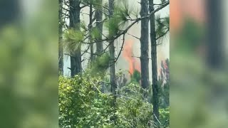 Lightning strike sparks 4acre brush fire at Cape Corals Charlotte Harbor Buffer Preserve [upl. by Eecrad]