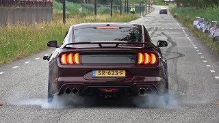 Ford Mustang 50 V8 Royal Crimson GT Performance  BURNOUT amp SOUND [upl. by Ancell760]