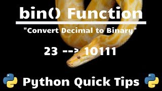 How to Convert Number to Binary In Python bin Function  Python Quick Tips [upl. by Ihsakat]