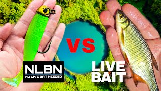 NLBN VS LIVE BAIT  Which One Catches more Fish [upl. by Nahpets]