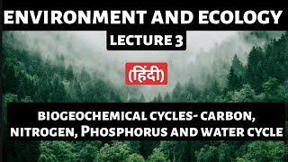 Biogeochemical Cycles Explained Carbon Nitrogen Phosphorus amp Water Cycles for UPSC Preparation [upl. by Jonis]