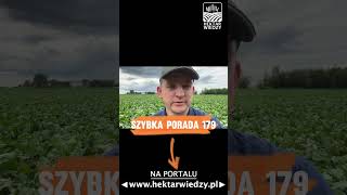 OBORNIK TAŃSZY OD NPKów  HEKTAR WIEDZY  SZYBKA PORADA 179 [upl. by Nosloc]