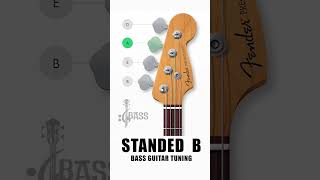 How To Tune a Bass Guitar Stranded B  4 Strings By ChamisBass  fender chamisbass shorts [upl. by Stanley]