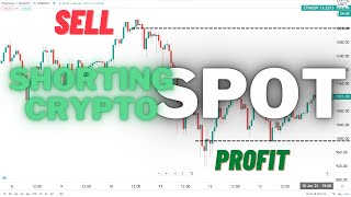 Make Profit With Shorting Bearish Market on Crypto SPOT Trading  Urdu Hindi [upl. by Ahcsatan]