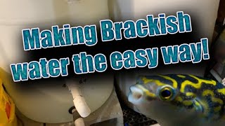 How to make brackish water the easy way [upl. by Nauwtna15]