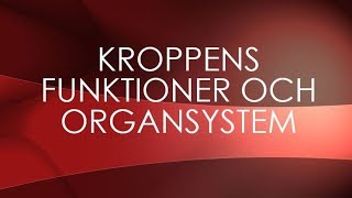 Människokroppen  organsystem [upl. by Yeliak659]