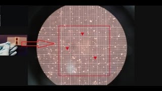 Hemocytometer  Counting of cells  Amrita University [upl. by Nimref]