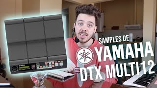 SAMPLES de la Yamaha DTX MULTI 12  Libreria en WAV por lauchalarsen [upl. by Thorley]