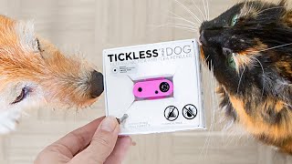 YOU NEED THIS against ticks and fleas 🤩  TICKLESS review I bought it [upl. by Liddle]