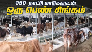 350 நாட்டு மாடுகளுடன் ஒரு பெண் சிங்கம்  Srri Kumaragiri Gosala  Jallikattu Kaalai [upl. by Eednarb]