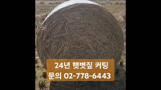 24년 햇볏짚 커팅 유산균주 투입 볏짚 햇볏짚 조사료 한우농장 한중에스에스 [upl. by Knowland]