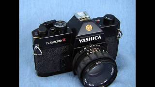 Yashica TL Electro X Vintage 35mm Camera  50mm Yashica f17 Lens  Thomas Cameras [upl. by Nelyak]