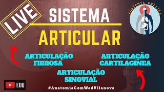 Sistema Articular  Articulações Fibrosas Cartilaginosas e Sinoviais  LIVE Anatomia Prática [upl. by Oguh]