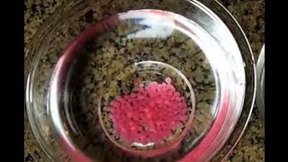 Molecular Gastronomy Made Easy Spherification [upl. by Silisav]