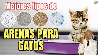 🐱 ¿CUALES SON LOS MEJORES TIPOS DE ARENA PARA GATOS 🐱 [upl. by Schuh358]