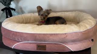 Orthopedic Waterproof Large Dog Bed Washable Dog Bed with Bolsters Review [upl. by Arnold93]