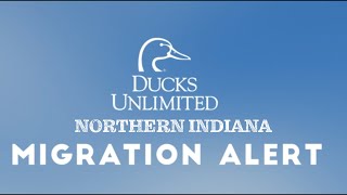 Migration Alert Northern Indiana [upl. by Klinger]