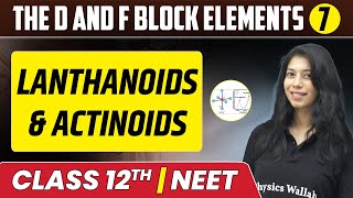 The d and f Block Elements 07  Lanthanoids amp Actinoids  Class 12thNEET [upl. by Greenlee]