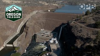 Klamath dams are coming out  Dam removal project on the Klamath River  Oregon Field Guide [upl. by Shem]