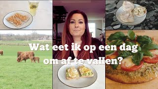 Wat Ik Eet Op Een Dag  Calorietekort [upl. by Jemena]