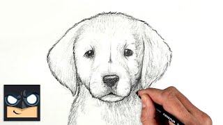 How To Draw a DOG  GOLDEN LAB PUPPY  Sketch Saturday [upl. by Dorothee603]