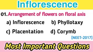 Inflorescence MCQs  Plant Morphology MCQ Frequently asked questionsbiology mcqs [upl. by Lauro568]