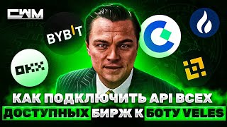 Как подключить API всех доступных бирж к боту VELES [upl. by Quiteri696]