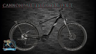 CANNONDALE TESORO NEO X 3 [upl. by Sharla243]